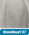 Poťahová látka Braveheart 07