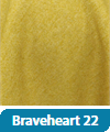 Poťahová látka Braveheart 22